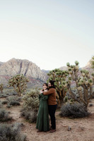 Couples Anniversary Portrait Ideas Las Vegas Wedding Photographe