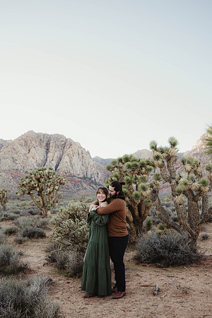 Couples Anniversary Portrait Ideas Las Vegas Wedding Photographe