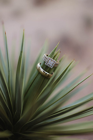 Chapel of the Flowers elopement Las Vegas Wedding and Elopement