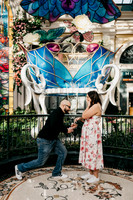 Propose at the Bellagio Botanical Gardens Las Vegas Wedding and