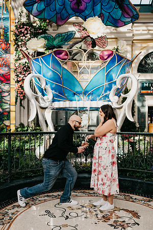 Propose at the Bellagio Botanical Gardens Las Vegas Wedding and