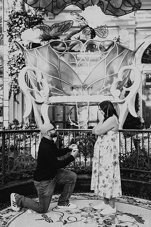 Propose at the Bellagio Botanical Gardens Las Vegas Wedding and