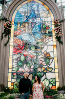 Propose at the Bellagio Botanical Gardens Las Vegas Wedding and