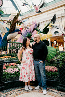 Propose at the Bellagio Botanical Gardens Las Vegas Wedding and