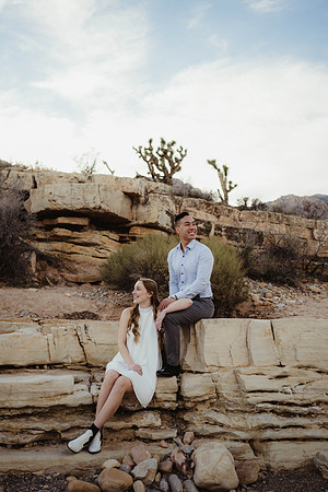 Red Rock Canyon Las Vegas Desert Engagement Portraits Las Vegas